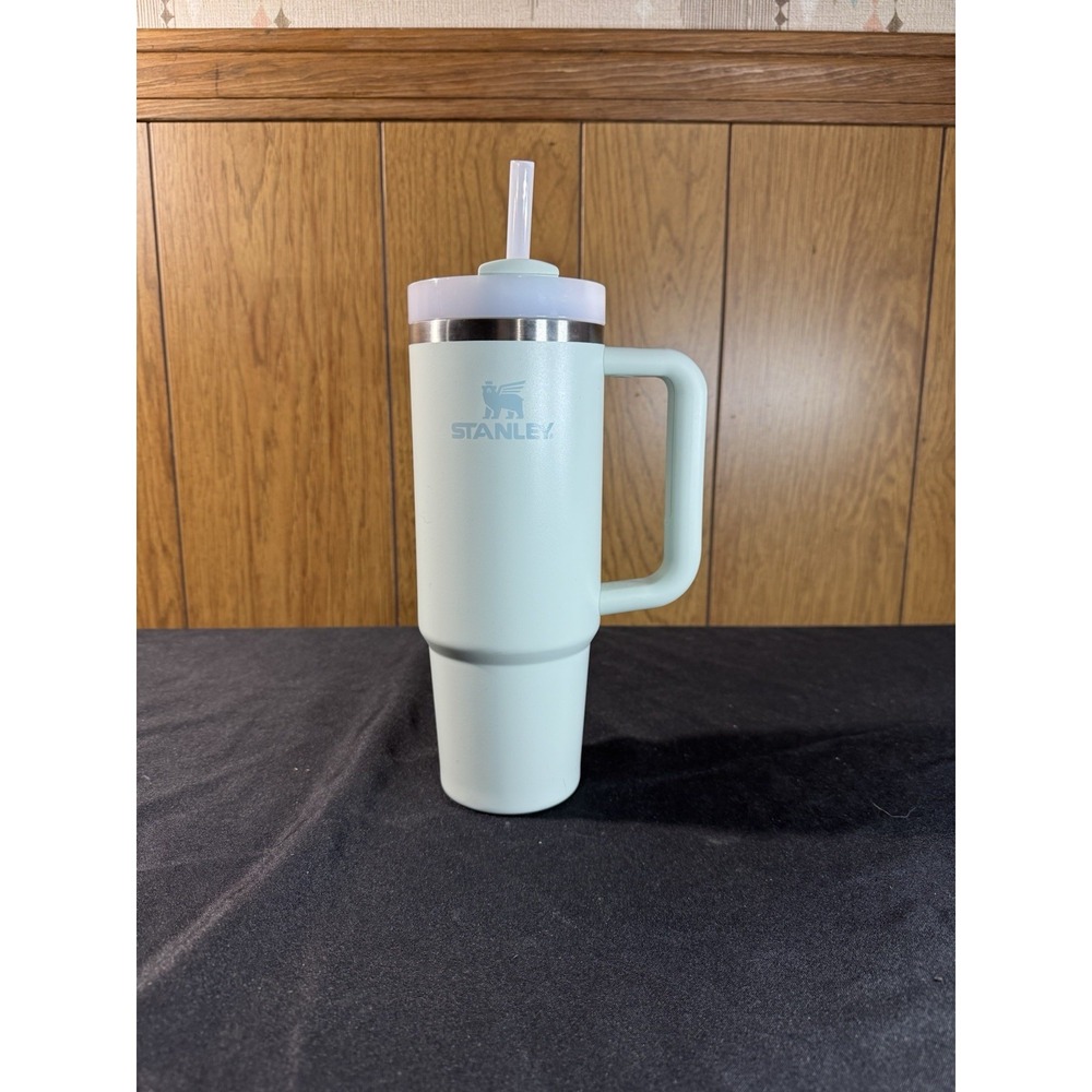 30 oz stanley tumbler pastel green NEW no box